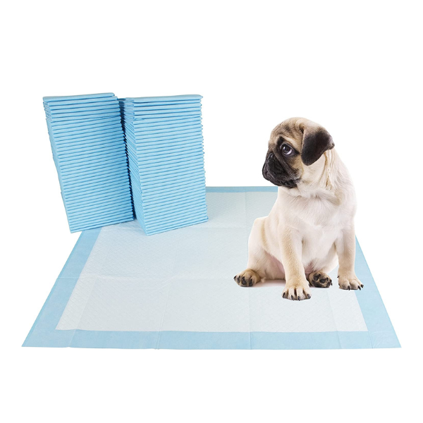 How to train a puppy to pee on the potty pad best sale